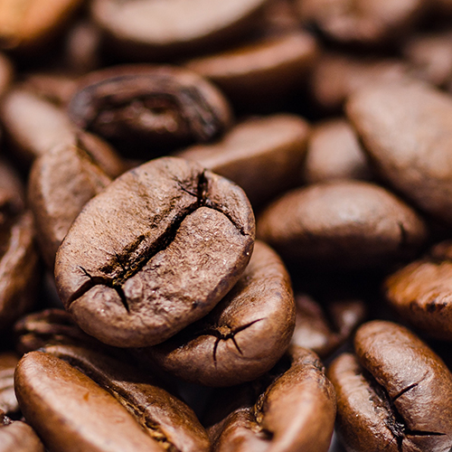 Lets Talk Coffee Beans