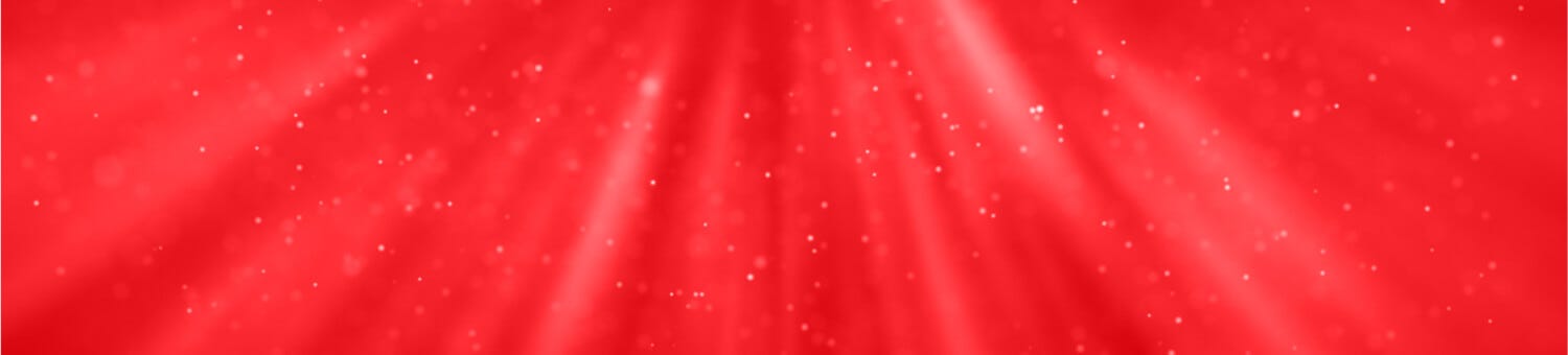Ladies Clothing Sale