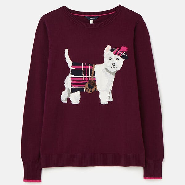 joules dog christmas jumper
