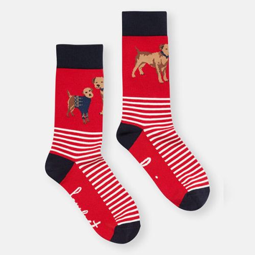 Joules Red Dog Brilliant Bamboo Socks