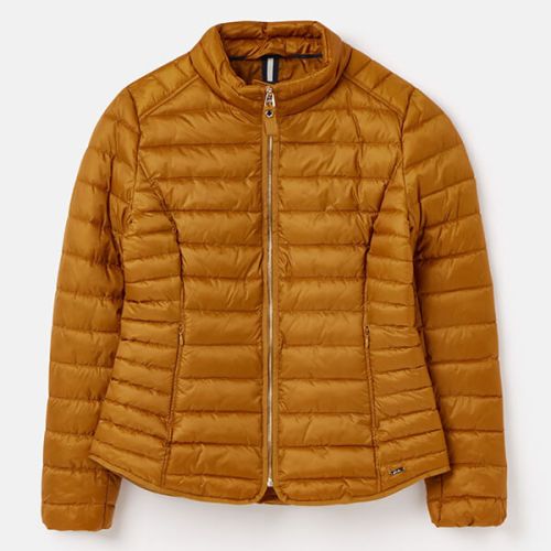Joules Golden Canterbury Short Luxe Padded Jacket