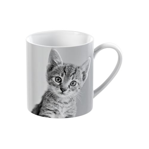 Pet Corner Kitten Mug