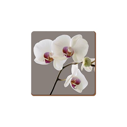 Creative Tops Orchid Harmony Set Of 6 Premium Coasters