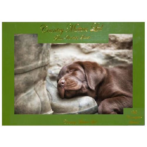 Country Matters Pup On Boot Glass Work Top Saver