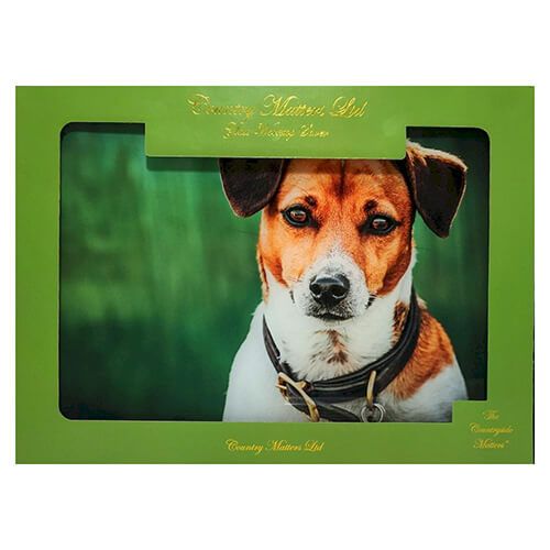 Country Matters Jack Russell Glass Work Top Saver