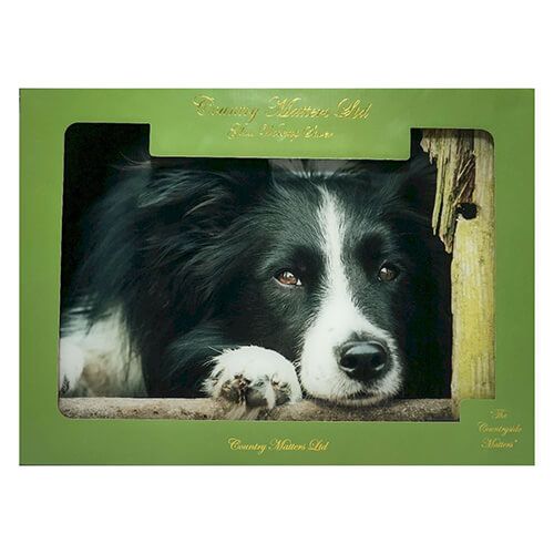 Country Matters Chilled Out Collie Glass Work Top Saver
