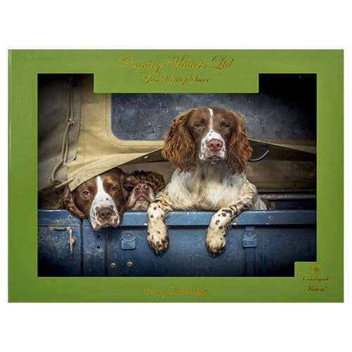 Country Matters Spaniels in Landy Glass Work Top Saver