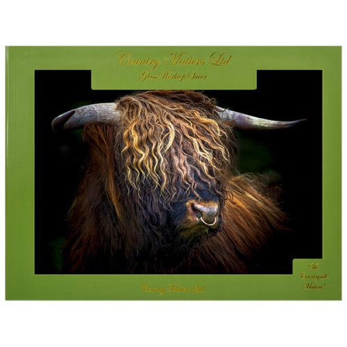 Country Matters Highland Bull Glass Worktop Saver