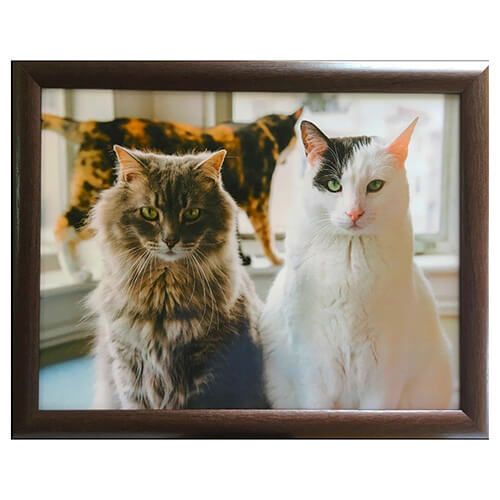 Country Matters Trio Of Cats Lap Tray