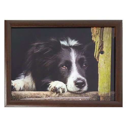 Country Matters Chilled Out Collie Lap Tray