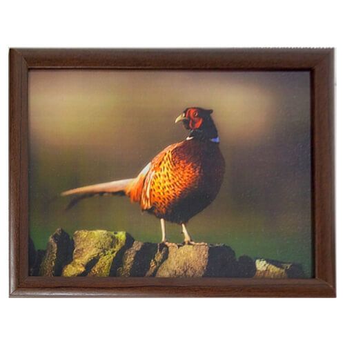 Country Matters Pheasant on Wall Lap Tray