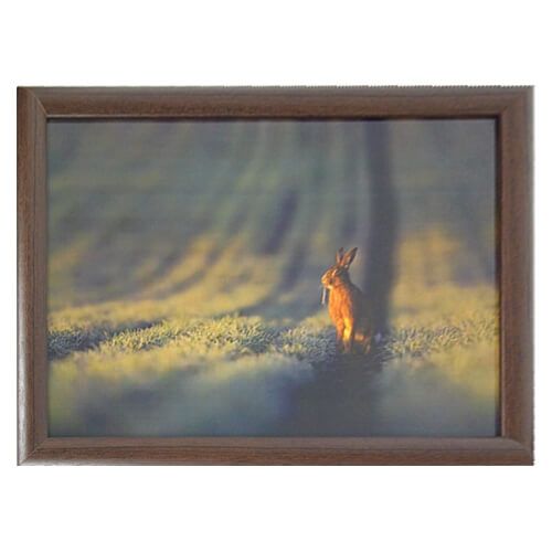 Country Matters Hare Lap Tray