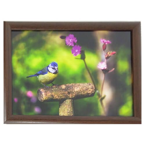 Country Matters Garden Blue Tit Lap Tray