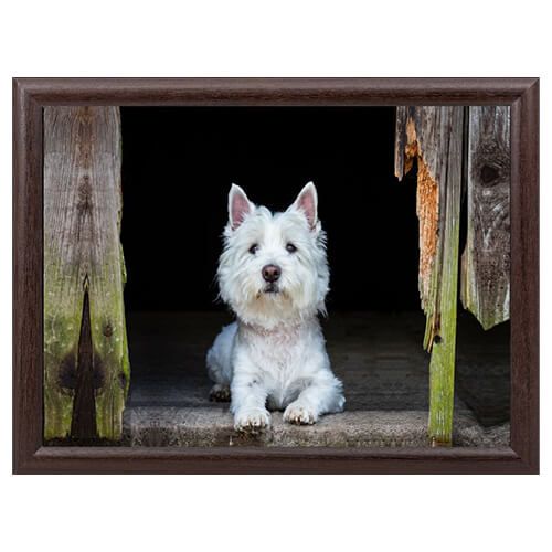 Country Matters Westie Lap Tray