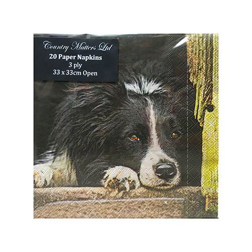Country Matters Chilled Out Collie Napkins