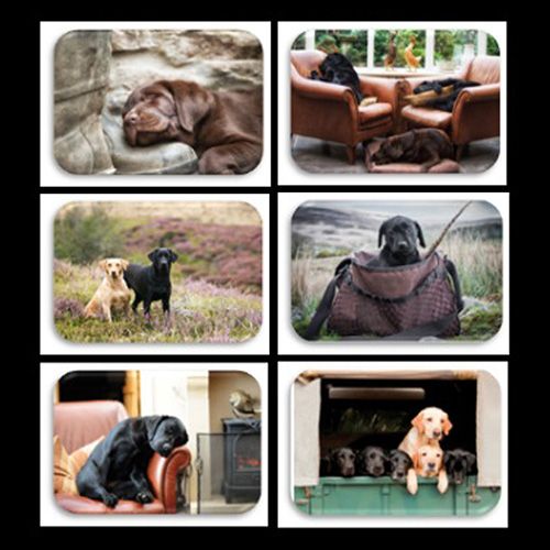 Country Matters Labradors Placemats Set Of 6