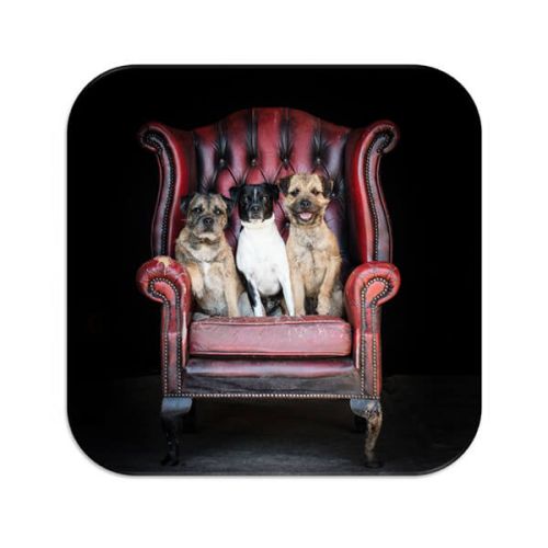 Country Matters The Terriers Coaster