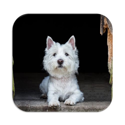 Country Matters Westie Coaster