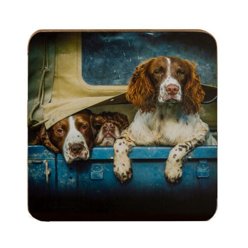 Country Matters Spaniels in Landy Coaster