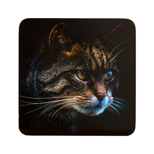Country Matters Stalking Cat Coaster