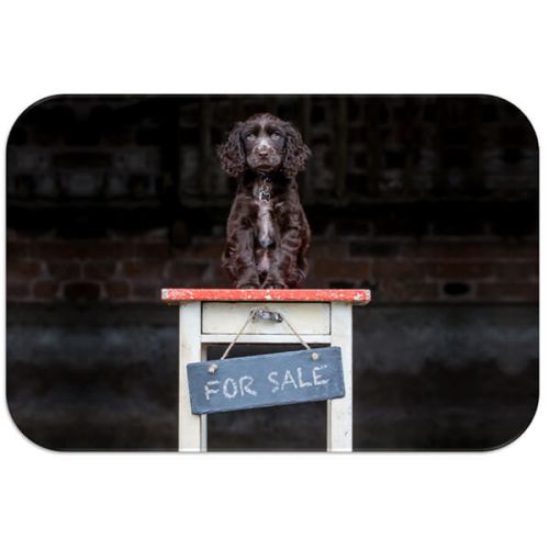 Country Matters Bailey for Sale Placemat