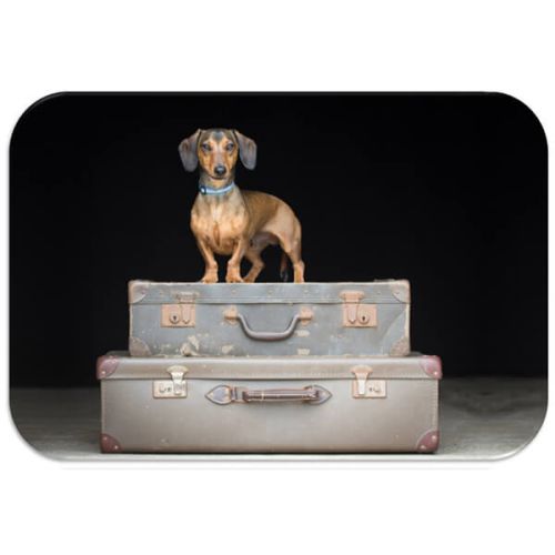 Country Matters Dachshund Travels Placemat