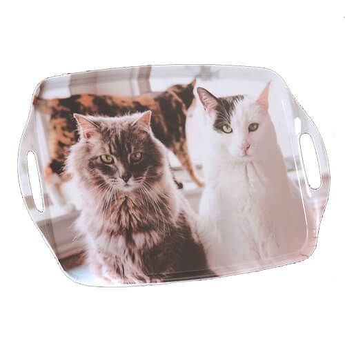 Country Matters Trio Of Cats Tray
