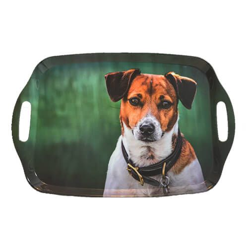 Country Matters Jack Russell Tray