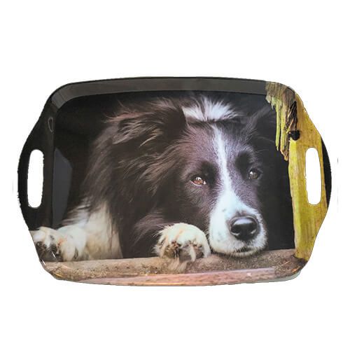 Country Matters Chilled Out Collie Tray