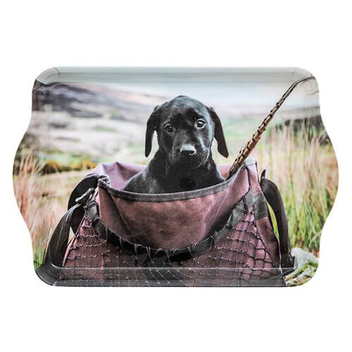 Country Matters Lab in Game Bag Trinket Tray