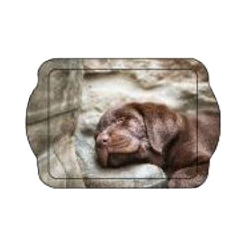 Country Matters Pup On Boot Trinket Tray