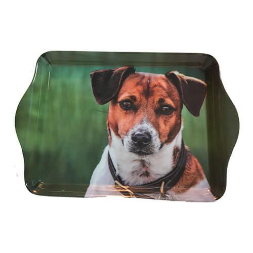 Country Matters Jack Russell Trinket Tray