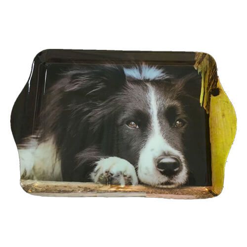 Country Matters Chilled Out Collie Trinket Tray
