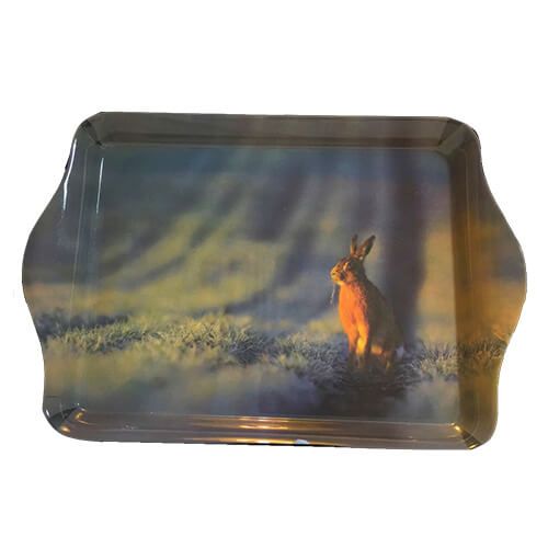 Country Matters Wild Hare Trinket Tray