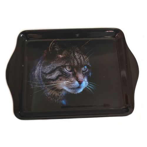Country Matters Stalking Cat Trinket Tray