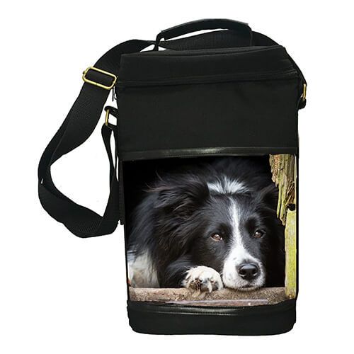 Country Matters Chilled Out Collie Wine Cool Bag