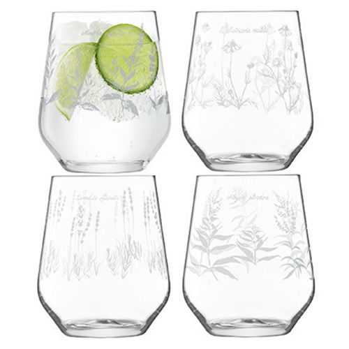LSA Royal Botanical Gardens Kew Tumbler Glass 450ml Assorted Set of 4