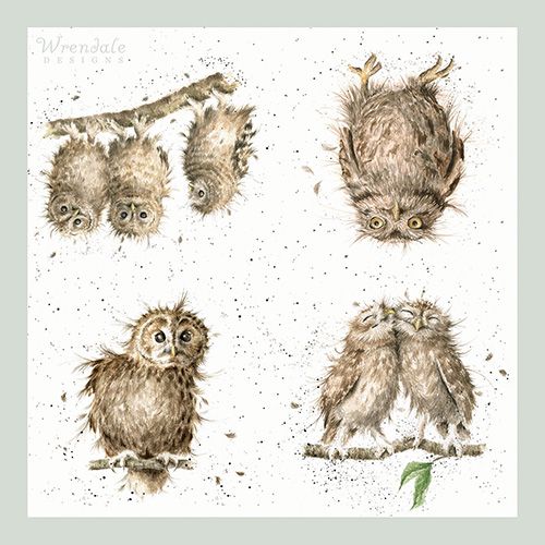 Wrendale Designs What A Hoot Pack Of 20 Napkins
