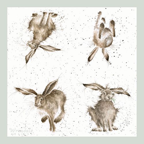Wrendale Designs Hare-Brained Pack Of 20 Napkins