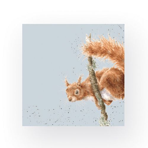 Wrendale Designs Pack of 20 Cocktail Size 'The Acrobat' Squirrel Napkins