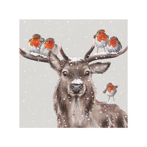 Wrendale Designs Festive Friends Luxury Boxed Christmas Cards