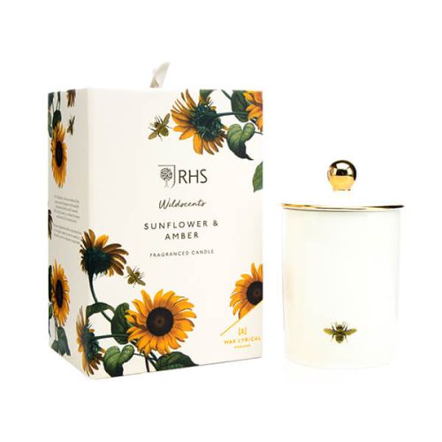 Wax Lyrical RHS Wildscents Sunflower & Amber Ceramic Candle
