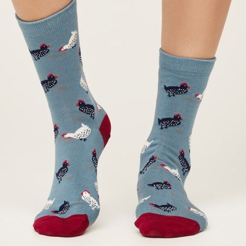 Thought Cute Chicken Socks Sea Blue Size 4-7
