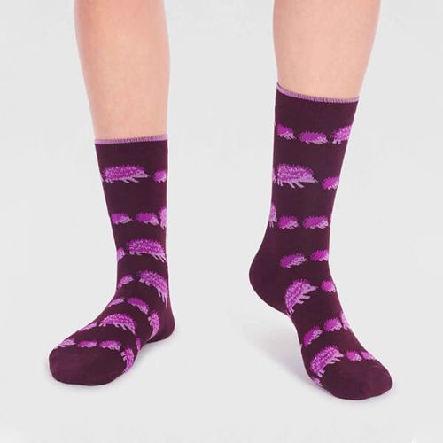 Thought Aubergine Purple Hadley Bamboo Hedgehog Socks Size 4-7