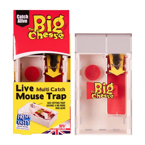 The Big Cheese Live Multi-Catch Mouse Trap