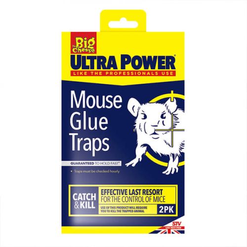The Big Cheese RTU Mouse Glue Trap Pack Of 2