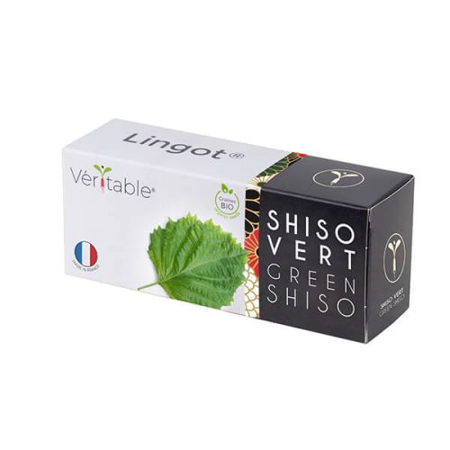 Veritable Organic Green Shiso Lingot