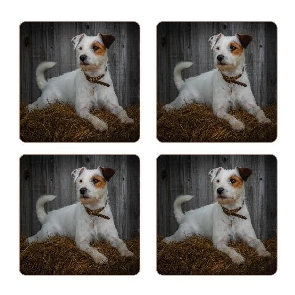 Rural Roots Jack Russell Coaster Pack Of 4