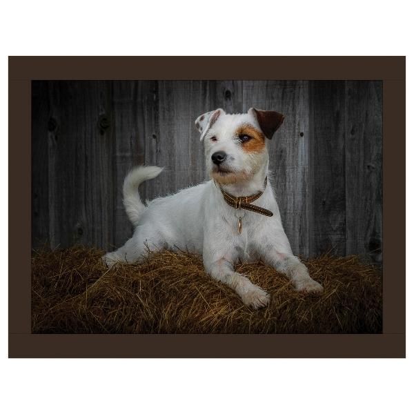 Rural Roots Jack Russell Lap Tray