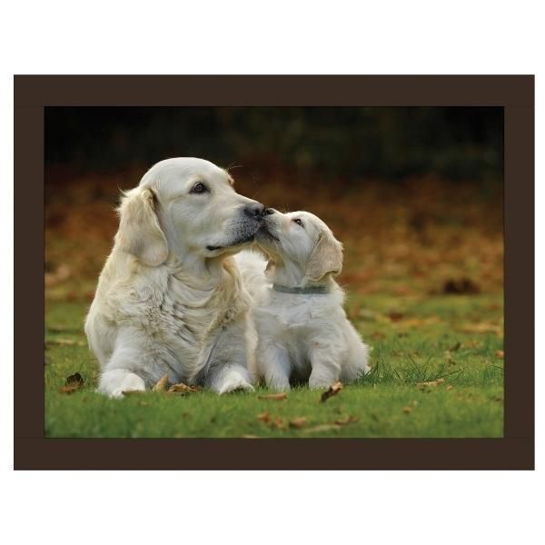 Rural Roots Golden Retrievers Lap Tray